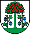 Wappen Magden